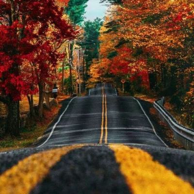 新天地棋牌手机app下载