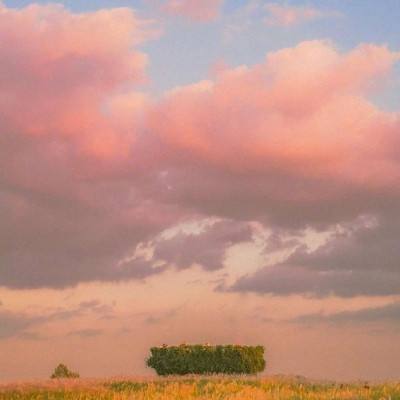 澳博在线官网娱乐游戏