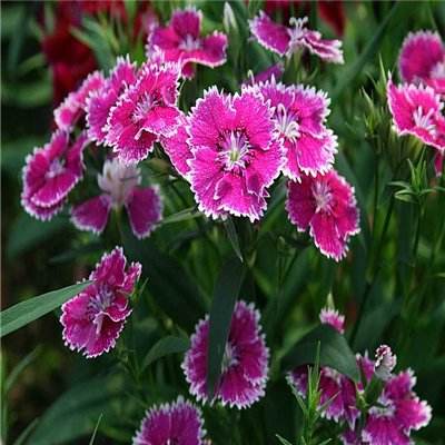 凯发游戏手机app下载