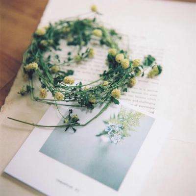 皇冠正规娱乐平台app下载