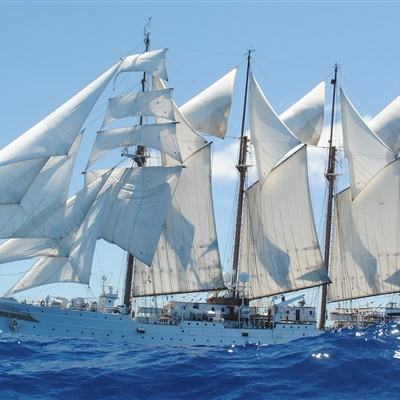 2023澳门资料大全正版下载手机版